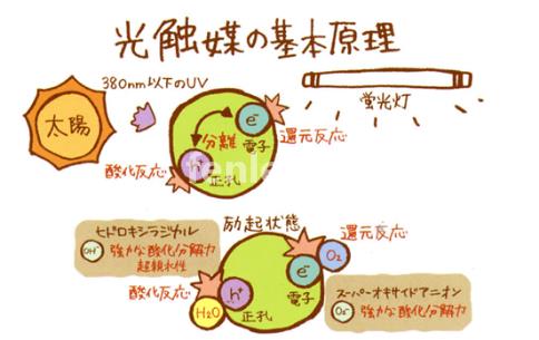 厦门专业保洁公司承接开荒外墙地毯家电除甲醛灭鼠等保洁业务(厦门地毯清洗服务)